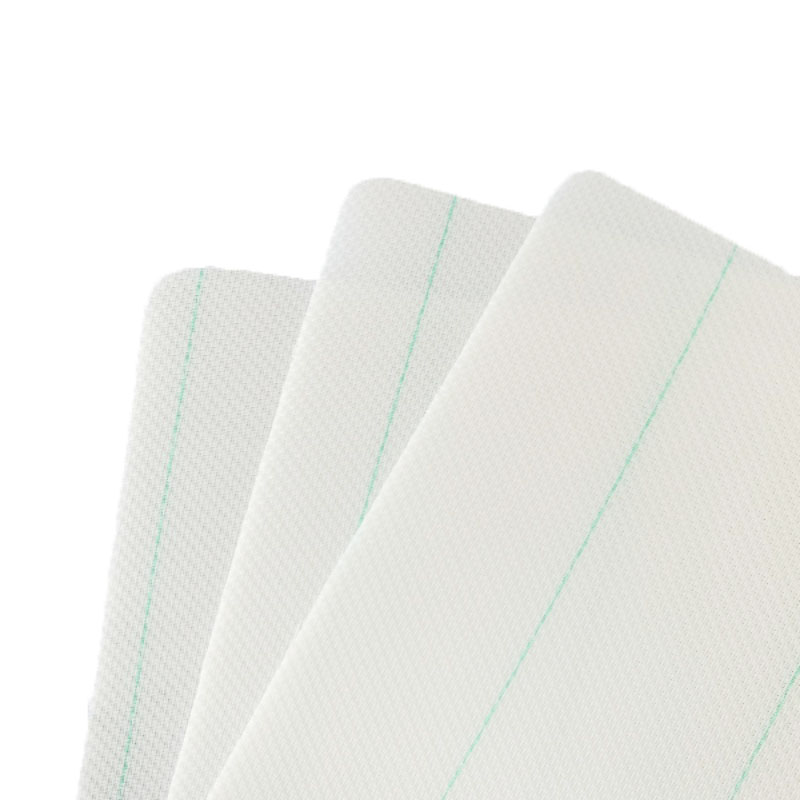 Polyester mesh belt