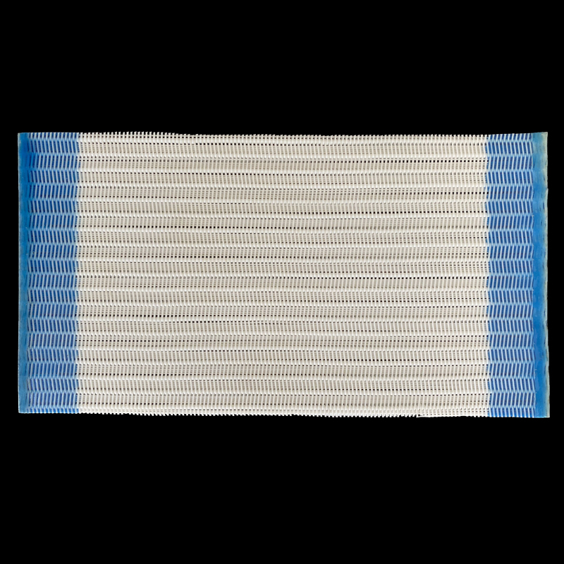 Polyester Spiral Press Filter Fabric Screen