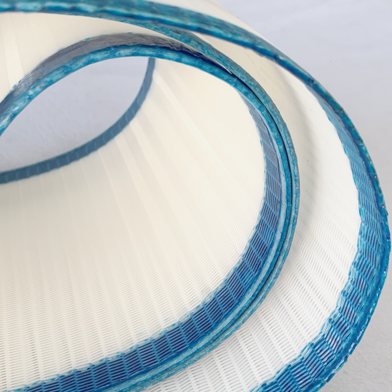 Polyester Mesh Belts